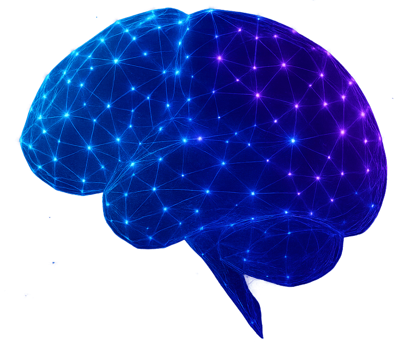 Neural network brain